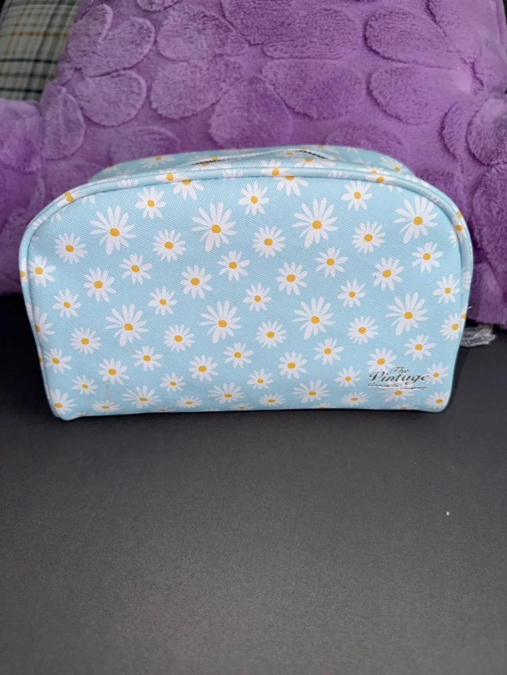 Vintage Daisy Print Light Blue Cosmetic Pouch